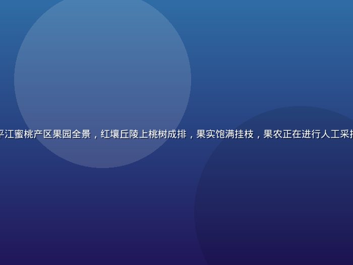 清晨薄雾中湖南平江蜜桃产区果园全景，红壤丘陵上桃树成排，果实饱满挂枝，果农正在进行人工采摘，画面清新自然